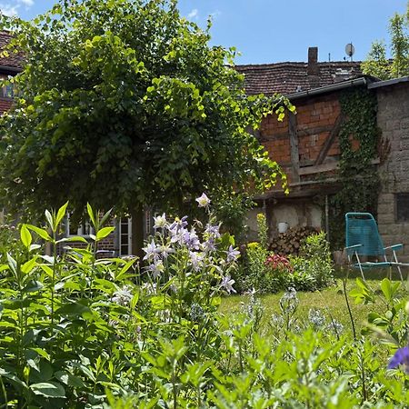 Ferienhaus St. Johannis Werben  Екстериор снимка